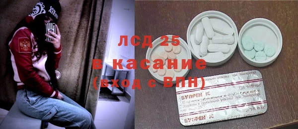 прущие грибы Пестово