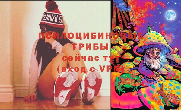 метадон Алзамай